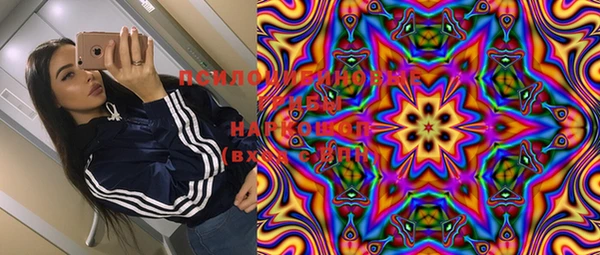 мет Богданович