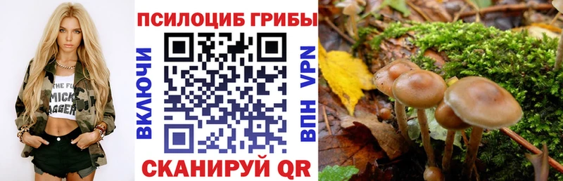 Псилоцибиновые грибы GOLDEN TEACHER  дарк нет формула  Константиновск 